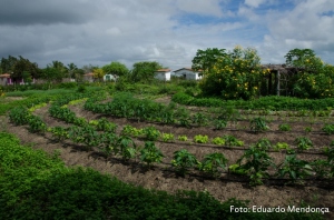 Modelo de Produção Agroecológica Integrada Sustentável