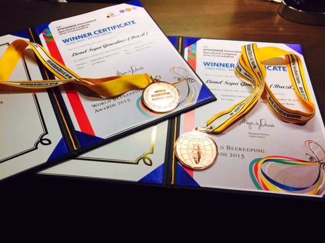 Imagem dos certificados e medalhas recebidos na premiação, na Corea do Sul |Crédito: Acervo Pessoal