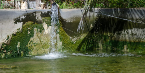 Fazenda Experiemntal 1