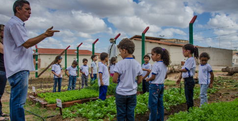 Ensinando a cultivar