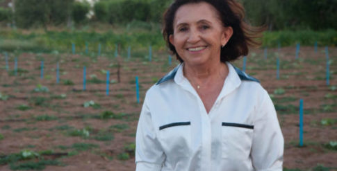 Professora Maria Zulede