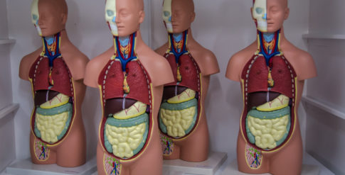 Laboratório Medicina (1)