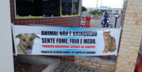 Faixa de conscientização para o não abandono de animais no Campus Caraúbas. Foto: Cedida