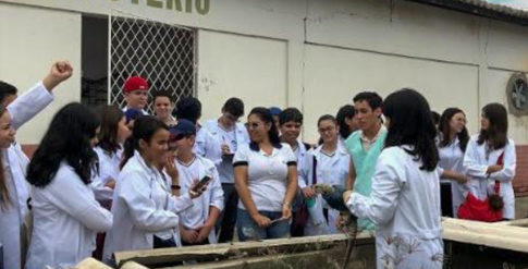 Visita-6