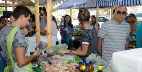 Feira Agroecologica