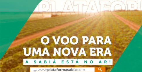 Plataforma Sabiá no ar