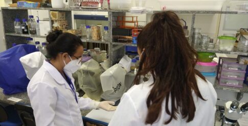 Laboratório de Biotecnologia Aplicada a Doenças Infecto-Parasitárias