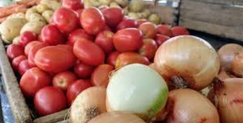 tomates