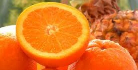 citrus