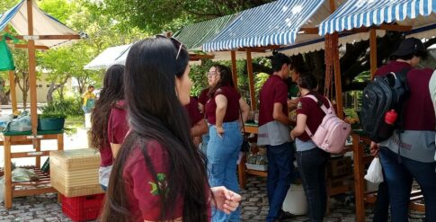 Feira agroecológica da Ufersa promove encontro fora das salas de aula
